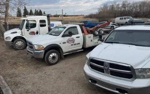Recovery Services