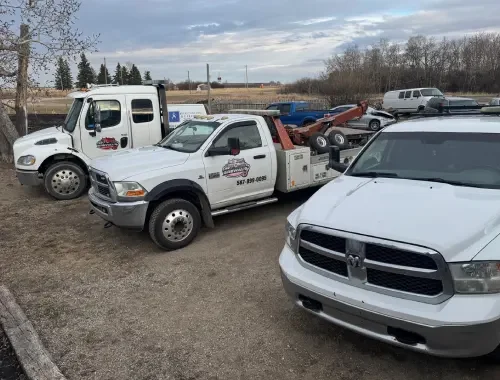 Recovery Services
